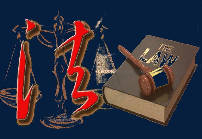 刑事专业委员会